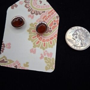 Brown Stone Stud Earrings